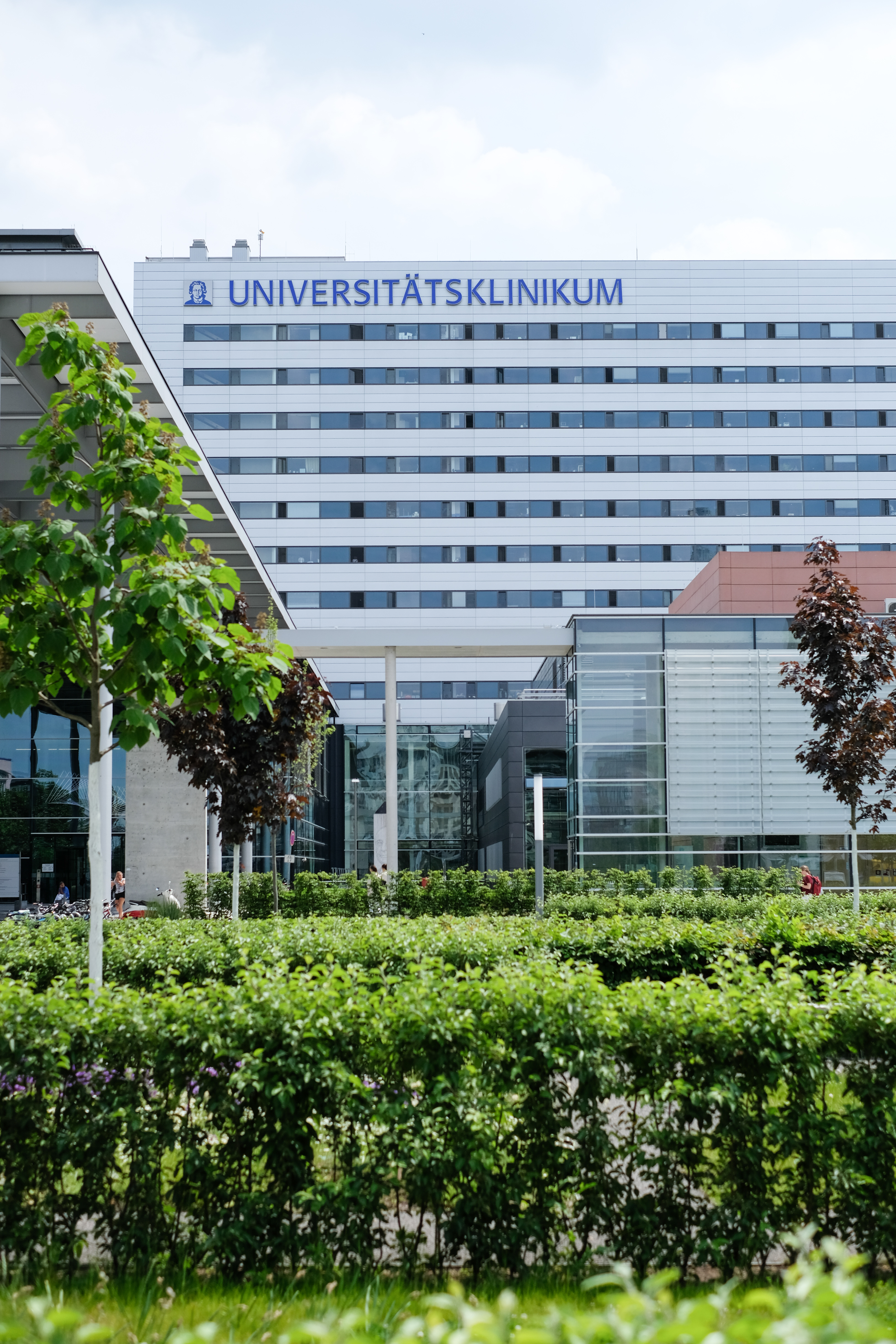 Zentralbau des Universitätsklinikums Frankfurt mit begrüntem Vorplatz